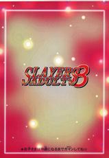 [Ginmomodou (Mita Satomi)] Slayers Adult 8 (Slayers)-[銀桃堂 (みたさとみ] Slayers Adult 8 (スレイヤーズ)