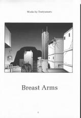 [Tenzan Factory] Breast Arms-[天山工房] BREAST ARMS