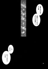 [Shallot Coco] Yukiyanagi no Hon 11 Iroha Gohoushi (Samurai Spirits)-[シャルロット・ココ] ゆきやなぎの本 11 いろは御奉仕 (サムライスピリッツ侍魂)