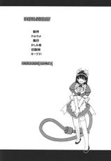 (C61) [Kashiwaya (Hiyo Hiyo)] H WORKS ANTHOLOGY (Hand Maid May)-[かしわ屋 (ひよひよ)] H WORKS ANTHOLOGY (ハンドメイド・メイ)