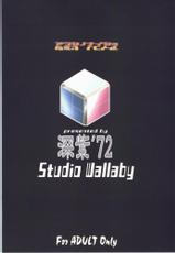 [Studio Wallaby] Arashi no Naisho, Aiko no Himitsu (Gad Guard)-