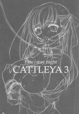 [Yakan Hikou] Cattleya 3 (Fate Stay Night)-