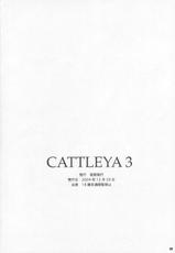 [Yakan Hikou] Cattleya 3 (Fate Stay Night)-