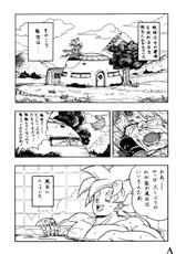 [Chirigami Goya / Fusuma Goten] Y (Dragonball)-[ちり紙小屋 / ふすま御殿] Y (ドラゴンボール)