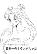 Elfin 8 (Dragonball Z / Sailor Moon)-