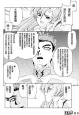 [GOLD RUSH] 29 Emotion (Ura) (Kidou Senshi Gundam SEED / Mobile Suit Gundam SEED)(CHINESE)-[GOLD RUSH] 29 Emotion (裏) (機動戦士ガンダムSEED)