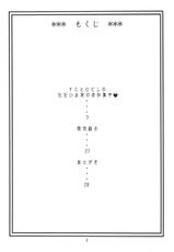 (C74) [ACID-HEAD (Murata.)] Nami no Koukai Nisshi EX NamiRobi 2 (One Piece) [German]-(C74) [ACID-HEAD （ムラタ。）] ナミの航海日誌EX ナミロビ2 (ワンピース) [ドイツ翻訳]