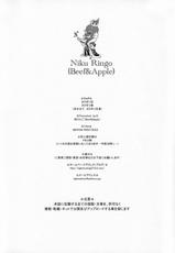 [Niku Ringo] NIPPON PRACTICE 2 (One Piece)(C75)-