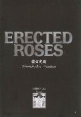 [Kebero Co., Ltd. (Shimokata Kouzou)] Erected Roses (Rumble Roses)-[KEBERO コーポレーション （霜方降造）] ERECTED ROSES (ランブルローズ)