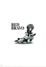 [AKKAN-Bi PROJECT] RED BRAVO (Gundam Seed Destiny)-[あっかんBi～] RED BRAVO (機動戦士ガンダムSEED DESTINY)