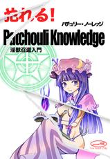Yareru! Patchouli knowledge-