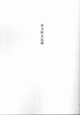 (C67) [TAKAKUya (Takaku Toshihiko)] Touhou Youjo Ranbu (Touhou Project)-(C67) [高久屋 (高久としひこ)] 東方妖女乱舞 (東方Project)