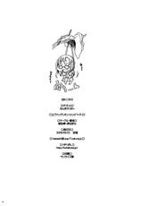(SC45) [Kohakutei (Sakai Hamachi)] Nanda Neko ka [Why the Hell a Cat?] (Rebuild of Evangelion) [English] =Masamune+Nemesis=-(サンクリ45) [琥珀亭 (堺はまち)] なんだネコか (ヱヴァンゲリヲン新劇場版) [英訳] =LWB=
