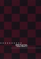 (SC48) [Pixel Cot.] Onshu no Sou (Touhou Project)-(サンクリ48) (同人誌) [Pixel Cot.] 音取ノ奏 (東方)