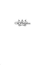 [Bakuhatsu BRS.] Cat Princess (Final Fantasy Gaiden) [ITA]-