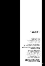 (C78) [Sakuya17sai (Moyomoto LV48)] Autumn Rice Field (Touhou Project)-(C78) [咲耶17歳 (もよもとLV48)] Autumn Rice Field (東方)
