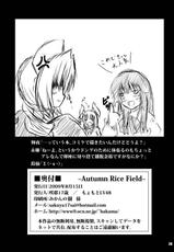 (C78) [Sakuya17sai (Moyomoto LV48)] Autumn Rice Field (Touhou Project)-(C78) [咲耶17歳 (もよもとLV48)] Autumn Rice Field (東方)