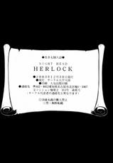 [Aratamaru] Night Head Herlock (Space Pirate Captain Harlock) [SPA]-