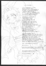 (C79) [Newtype Kenkyuujo (Kotowari)] Toramaru 4! (Touhou Project)-(C79) [にゅうたいぷ研究所 (理)] とらマル4! (東方Project)