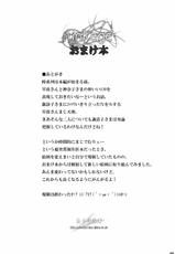 [Eclipse (Oborozuki)] linkage Omakehon (Touhou Project) (C78)-[えくりぷす (朧月)] linkage おまけ本 (東方)