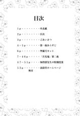 (C62) [YASRIN-DO (Yasu Rintarou)] Gekkouki Dai ni Yoru (Tsukihime)-(C62) [やすりん堂 (安麟太郎)] 月光鬼・第二夜 (月姫)