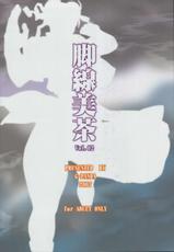 (C72) [G-PANDA (Midoh Tsukasa)] Kyakusenbi Cha Vol.02 (Street Fighter) (Korean)-(C72) [Gぱんだ (御堂つかさ)] 脚線美茶 Vol.02 (ストリートファイター) [韓国翻訳]
