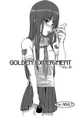 [Blaze (Scotch / Sukocchi] Golden Experiment Ver.0 (KimiKiss)-