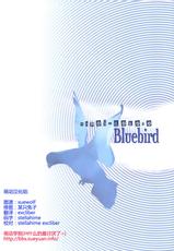 (C77) [Hapoi-dokoro (Okazaki Takeshi)] Bluebird (Neon Genesis Evangelion) (Chinese)-(C77) [はぽい処 (岡崎武士)] ブルーバード (新世紀エヴァンゲリオン) (中文)
