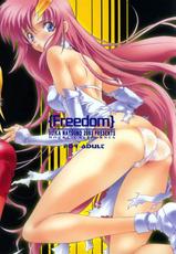 (C64) [Hotel California (Natsuno Suika)] Freedom (Kidou Senshi Gundam SEED)-(C64) [加州大飯店 (なつのすいか)] Freedom (機動戦士ガンダムSEED)
