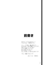 (Daikyuushuu Touhousai 4) [Kara no Tsuki] Ichirin no Himegoto (Touhou Project)-(大⑨州東方祭4) [カラノツキ] 一輪の秘めごと (東方)