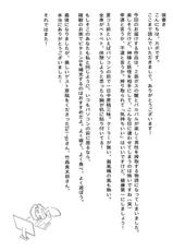 (C80) [Sakanabone ko Miyatsuko (Kapo)] Stage2 (Touhou Project)-(C80) [魚骨工造 (カポ)] Stage2 (東方)