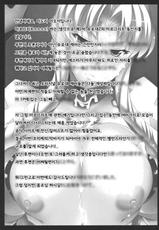(C80) [NF121 (Midori Aoi)] Chichi Kishi Marguerite (Super Robot Wars Z 2nd) (korean)-(C80) (同人誌) [NF121 (みどり葵)] 乳騎士マルグリット (第2次スーパーロボット大戦Z) [韓国翻訳]