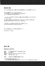(C81) [Takoyaki-batake] Kowasareta Omamori (Touhou Project)-(C81) [たこ焼き畑] 壊されたお守り (東方)