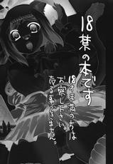 (C74) [PINK VENUS (Suma Miru)] SCHOLAR SUN (Final Fantasy XI) [English]-