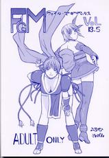 (CR30) [From Japan] FgM ( Fighters Gigamix ) Vol 13.5 (Dead or Alive)-(CR30) [ふろむじゃぱん (秋恭魔)] ファイターズギガミックス Vol 13.5 (デッド・オア・アライヴ)
