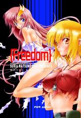 (C64) [Hotel California (Natsuno Suika)] Freedom_DL (Gundam SEED) [Digital]-(C64) [加州大飯店 (なつのすいか)] Freedom_DL (機動戦士ガンダムSEED) [DL版]