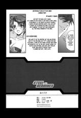 (SC33) [Youkai Tamanokoshi (CHIRO)] Steel Heroines Vol. 2 (Super Robot Wars) [Spanish] {Kurotao}-(サンクリ33) [ようかい玉の輿 (CHIRO)] STEEL HEROINES vol.2 (スーパーロボット大戦) [スペイン翻訳]