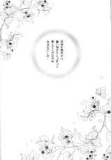 (CR33) [Sakurakan (Seriou Sakura)] Hoshikuzu Drop (Inuyasha)-(Cレヴォ33) [桜館 (芹桜さくら)] 星屑ドロップ (犬夜叉)