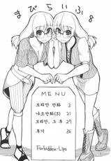(C78) [Forbidden-Lips (Ryo)] Mabi Life 8 (Mabinogi) (korean)-(C78) [Forbidden-Lips (りょう)] まびらいふ 8 (マビノギ) (韓国語)