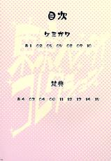 (Futaket 9.5) [Butagoya (Kemigawa Mondo, Bonten)] Tokyo Hentai Collection (Various) [Chinese] [里界漢化組]-(ふたけっと9.5) [ぶた小屋 (検見川もんど, 梵典)] 東京ヘンタイコレクション (よろず) [中国翻訳]