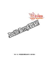 [FIZZCODE (Satonishi)] DoubleBerryCRUSH! (Sengoku Basara)-