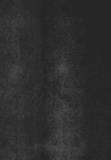 (Reitaisai 11) [Tetsu no Otoshigo (Chirorian)] Neko no Kimochi wa Futeikei (Touhou Project) [Chinese] [无毒汉化组]-(例大祭11) [てつのおとしご (チロリアン)] 猫の気持ちは不定形 (東方Project) [中国翻訳]