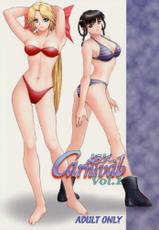 [B.I Project] Yorogee Carnival Vol.1 (Dead or Alive)-[B・I PROJECT] よろゲー Carnival Vol.1 (デッド・オア・アライヴ)
