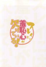 (Tales Saien 40) [Gatekeeper (Sasaki Kisara)] Sorey ni wa Shuuchishin ga Kakete Iru! (Tales of Zestiria)-(テイルズ菜園40) [げーときーぱー (佐々木きさら)] スレイには羞恥心が欠けている! (テイルズ オブ ゼスティリア)