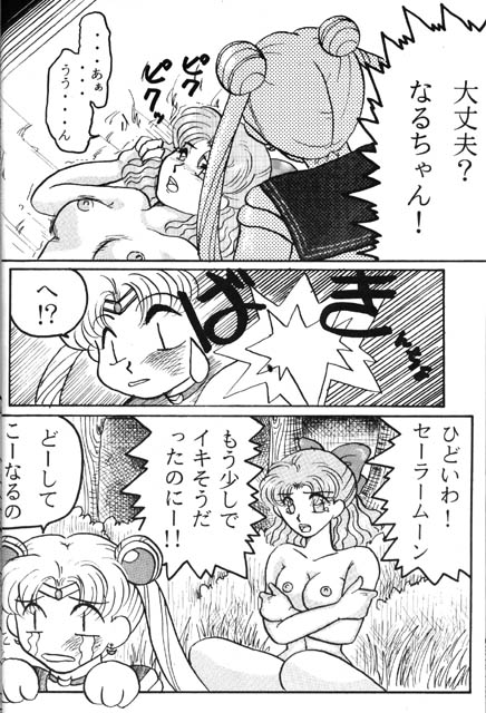 (story) Scream (Sailor Moon) 