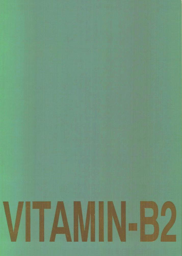 [Studio Wallaby] Vitamin-B2 (Battle Athletes Daiundoukai) 
