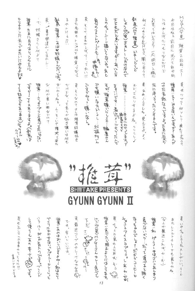 [Shiitake] Gyunn Gyunn II (Valkyrie Profile) 