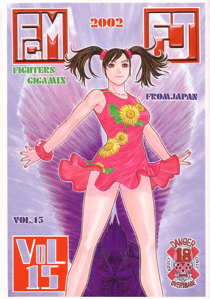 [From Japan] Fighters Gigamix Vol 15 