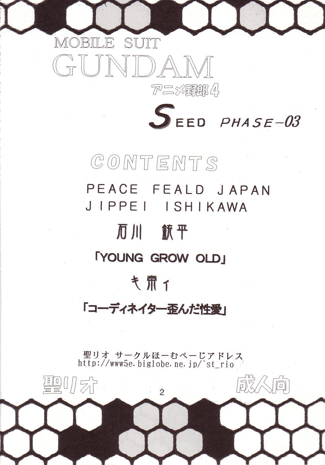 [St. Rio] Seed Phase 03 [Gundam Seed] 