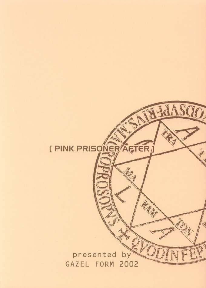 [Gazel Form] Pink Prisoner After (Sister Princess) 